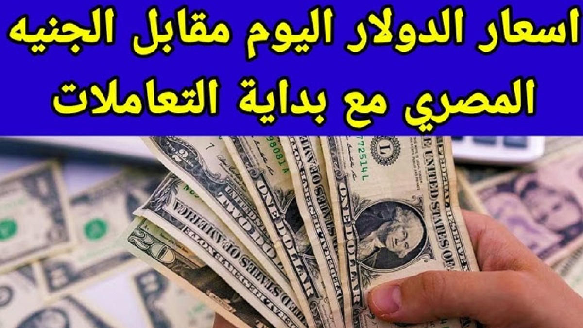 سعر الدولار اليوم مقابل الجنيه المصري الثلاثاء الموافق 31-12-2024 في كافة البنوك .. هدوء تام