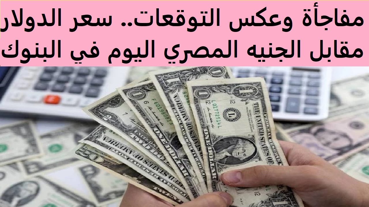 سعر الدولار مقابل الجنيه المصري اليوم في جميع البنوك .. إستقرار تام للشراء و للبيع