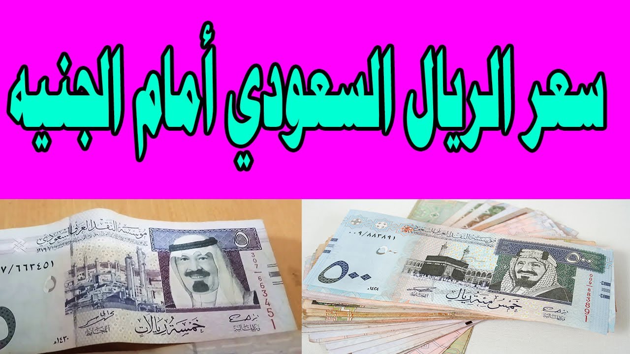 تحديثات جديدة لسعر الريال السعودي اليوم الثلاثاء 31 ديسمبر 2024 مقابل الجنيه المصري