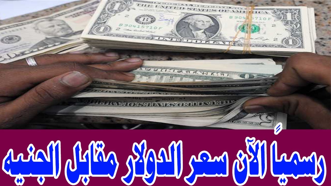 إستقرار سعر الدولار مقابل الجنيه المصري اليوم بعد الإرتفاع الأخير .. تحديث لحظي