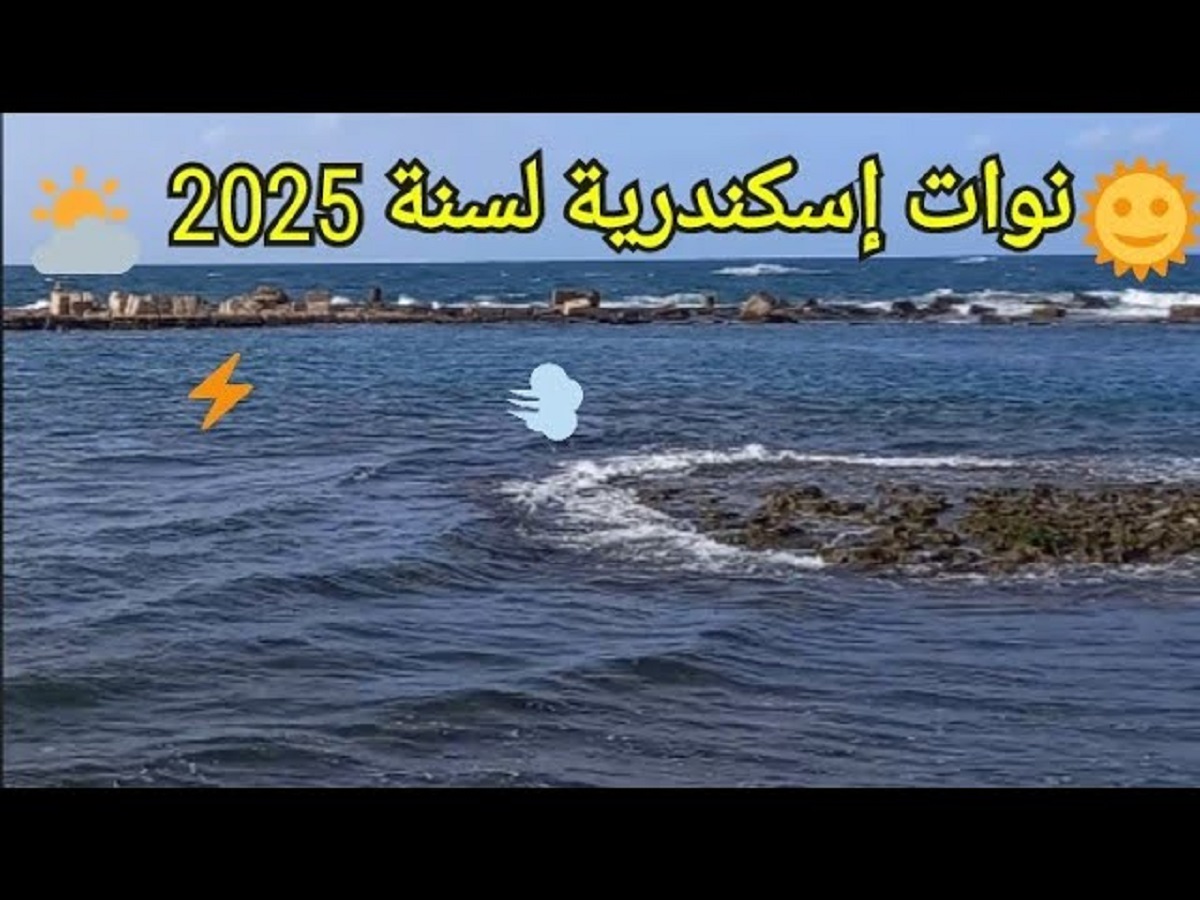 هيئة ميناء الإسكندرية تُعلن كافة نوات الإسكندرية لعام 2025 .. أولها في يناير