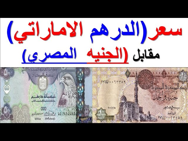 “تذبذب الأوروبي”.. سعر الدرهم الاماراتي اليوم الأربعاء مقابل الجنيه في جميع البنوك