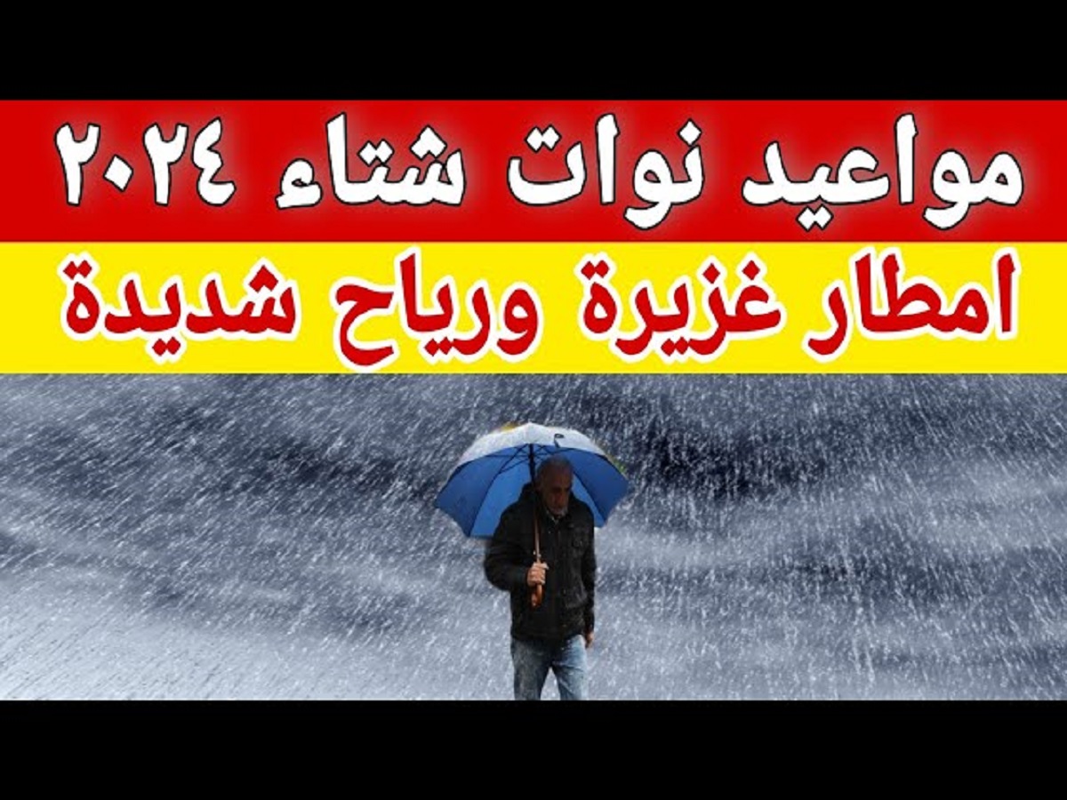 جدول نوات الإسكندرية 2024 وفقاً لما أعلنت عنه هيئة ميناء الإسكندرية .. الفيضة الصغرى على وصول