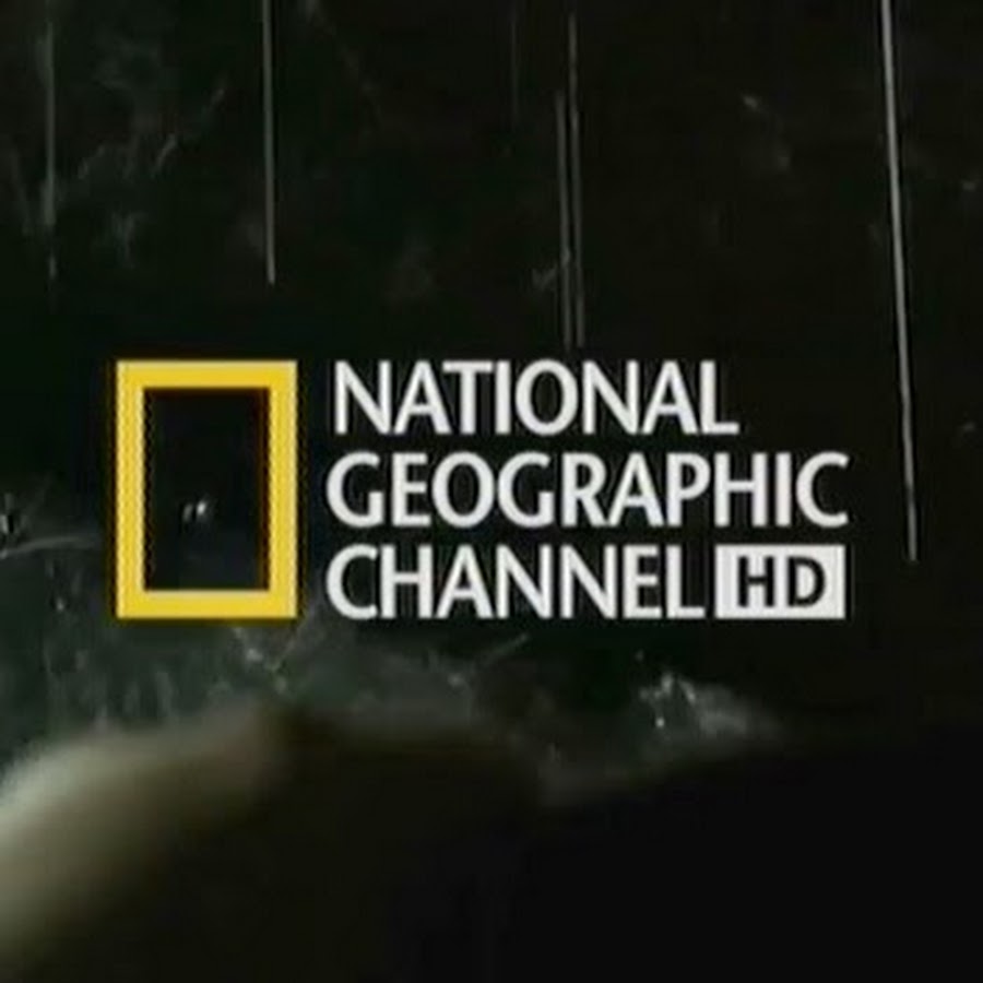 تردد ناشيونال جيوغرافيك 2025 National Geographic لمتابعة أجمل البرامج الثقافية والحياة البرية بجودة HD