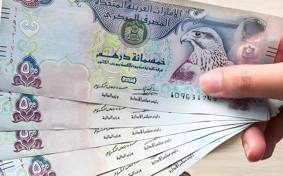 سعر الدرهم الإماراتي أمام الجنيه المصري في البنوك اليوم الأربعاء 25 ديسمبر 2024