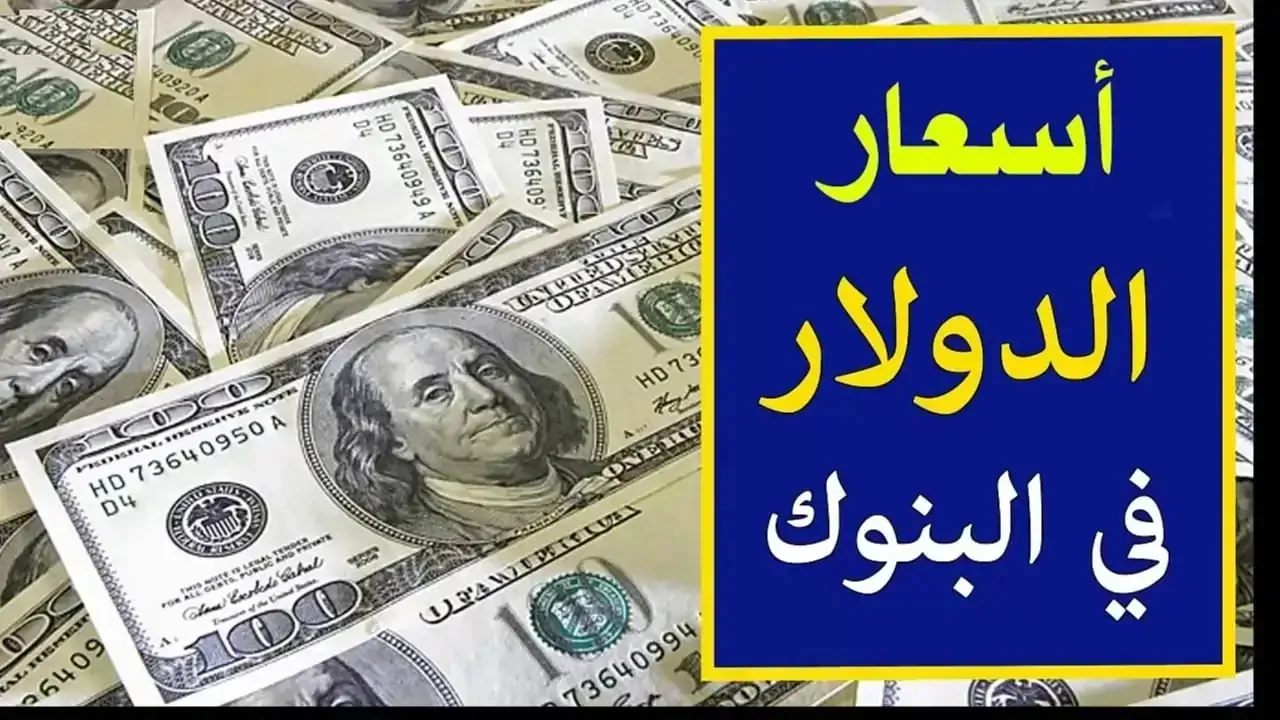 ‎سعر الدولار اليوم مقابل الجنيه المصري الاثنين 16 – 12 – 2024 يقترب من 51 جنيهاَ