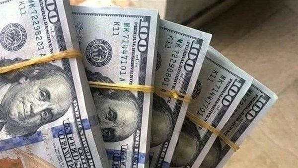 سعر الدولار مقابل الجنيه اليوم الأربعاء 1-1-2025 في بداية التعاملات