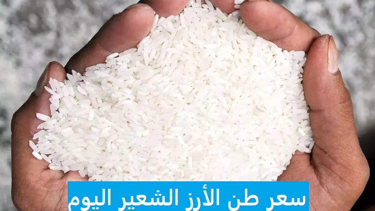 سعر طن الأرز الشعير اليوم