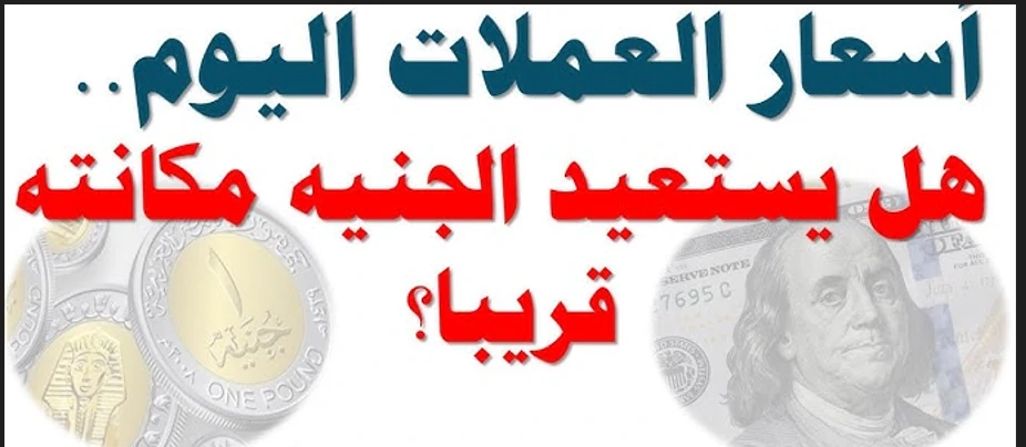 تذبذب أسعار العملات اليوم الأربعاء مقابل الجنيه في البنوك المصرية والسوق السوداء