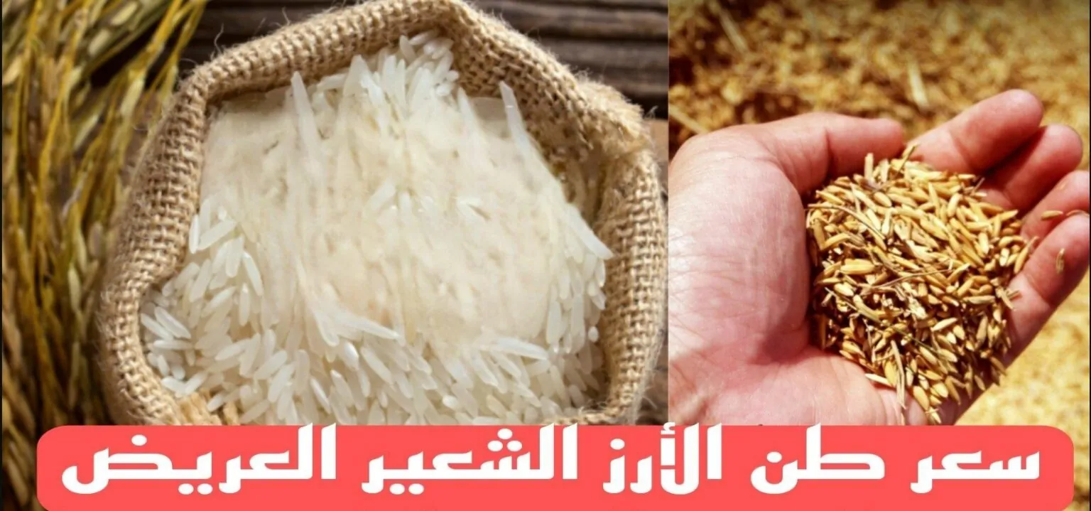 “مع بداية السنة” سعر طن الأرز الشعير اليوم الجمعة 3-1-2025 بجميع الاسواق المحلية