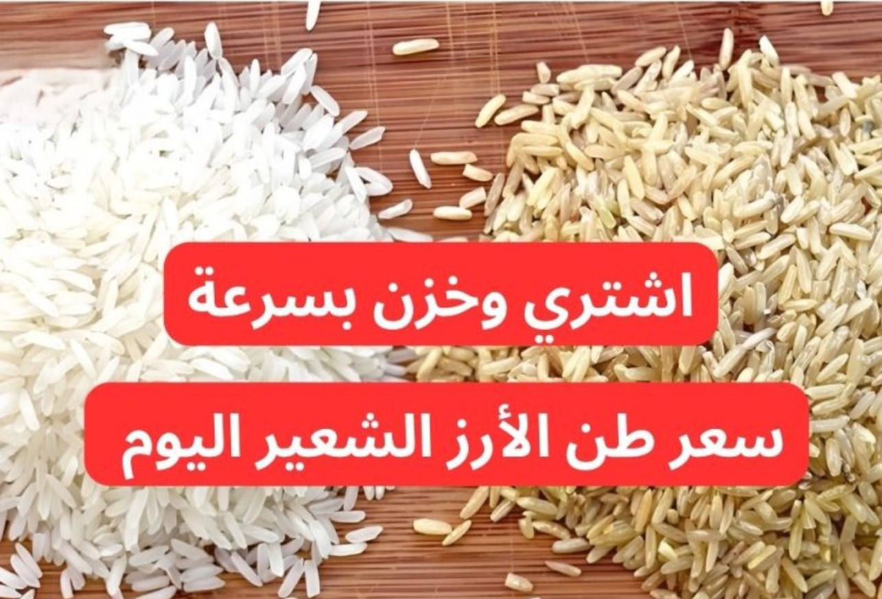 ارتفاع سعر طن الأرز الشعير اليوم الثلاثاء 7 يناير 2025 للمستهلك في المضارب.. “اشتري وخزن بسرعة”