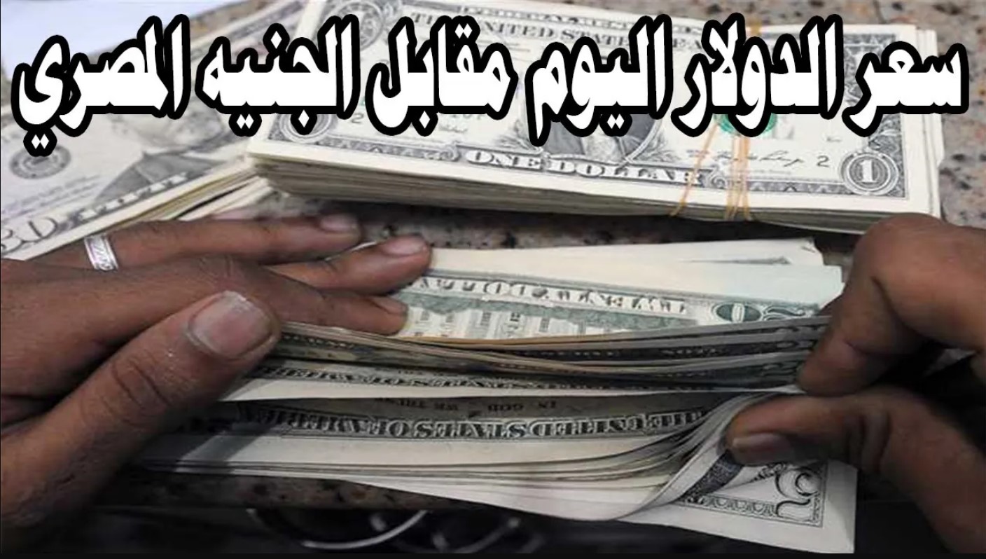 تراجع سعر الدولار اليوم مقابل الجنيه المصري الخميس 9 يناير 2025 بيع وشراء للمستهلك داخل كافة فروع البنوك