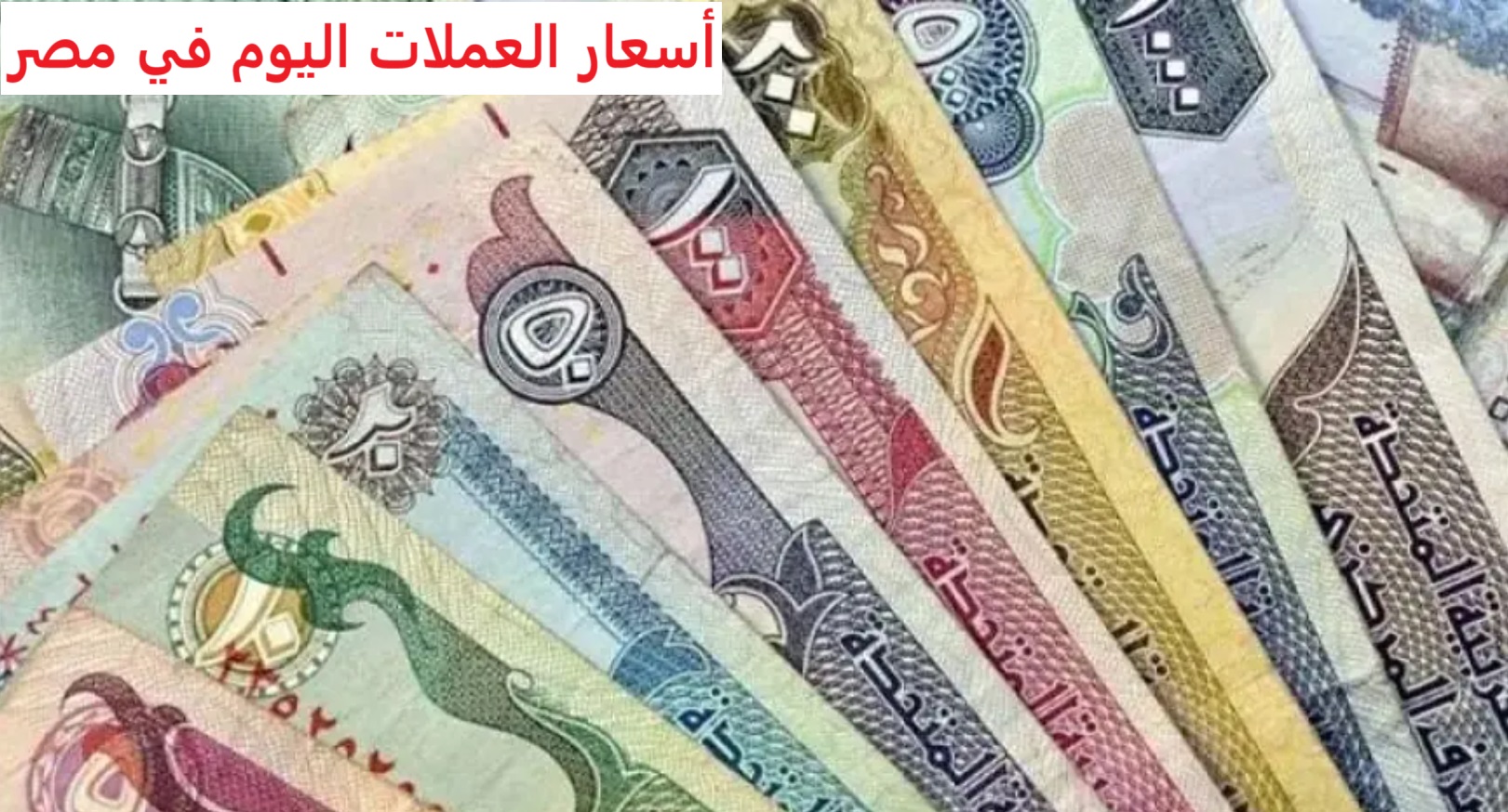 هبوط ملحوظ لجميع اسعار العملات اليوم في مصر الجمعة 10/1/2025 داخل البنك المركزي وبنك مصر بيع وشراء