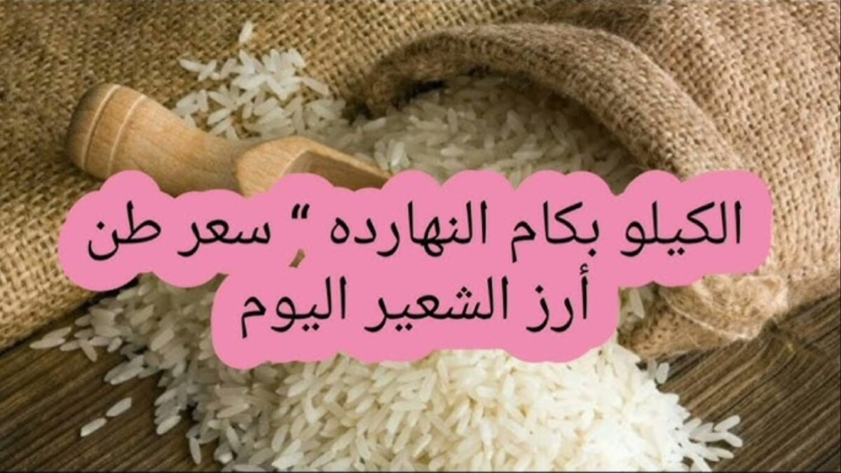 سعر طن الأرز الشعير اليوم