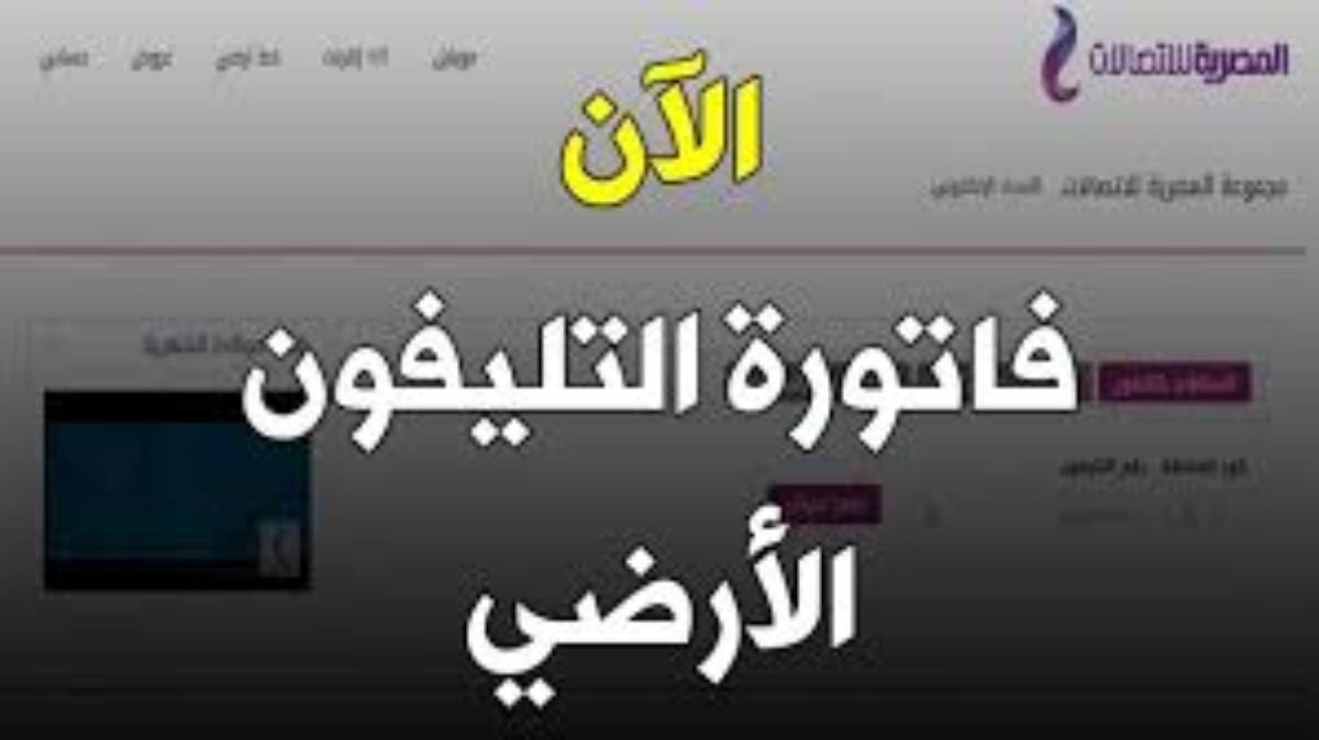 طرق دفع فاتورة التليفون الارضي أونلاين ورابط الاستعلام عن الفاتورة عبر موقع المصرية للاتصالات billing.te.eg