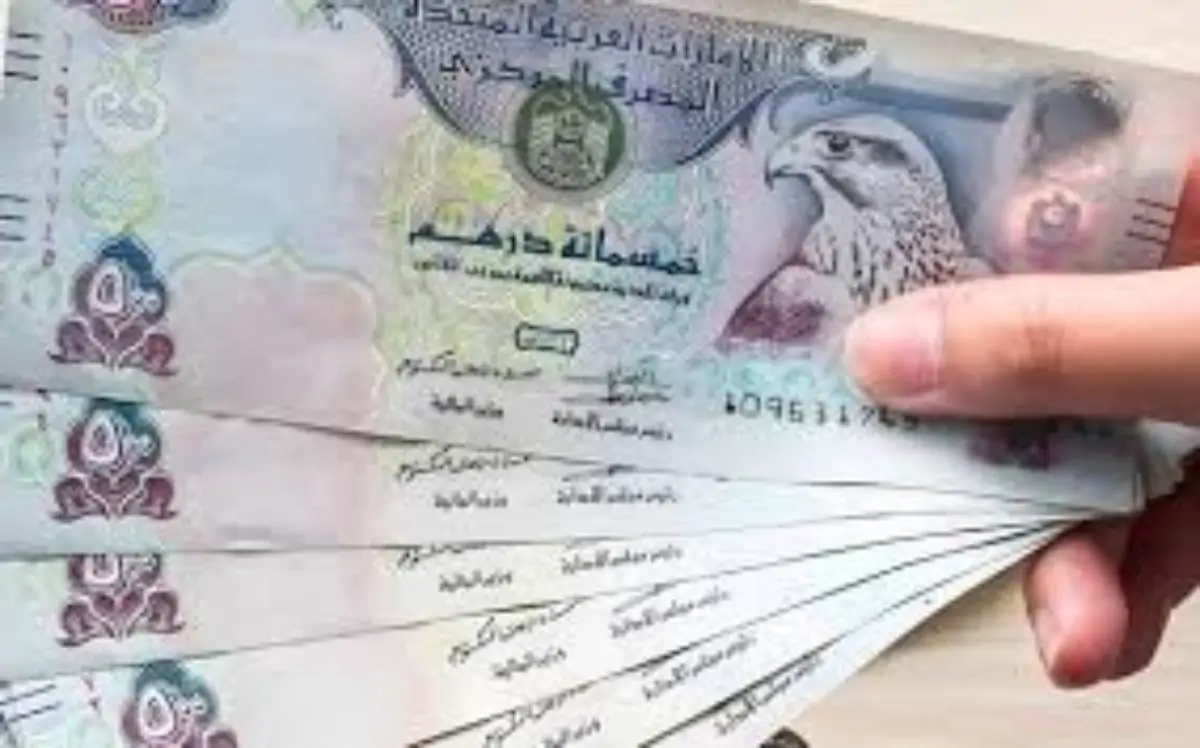 سعر الدرهم الإماراتي مقابل الجنيه المصري الخميس 16 يناير 2025 وفق آخر تحديث لقيمتى البيع والشراء