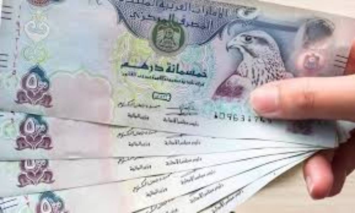 سعر الدرهم الاماراتي اليوم مقابل الجنيه المصري السبت 4 يناير 2025 وفق آخر تحديث صادر عن البنوك