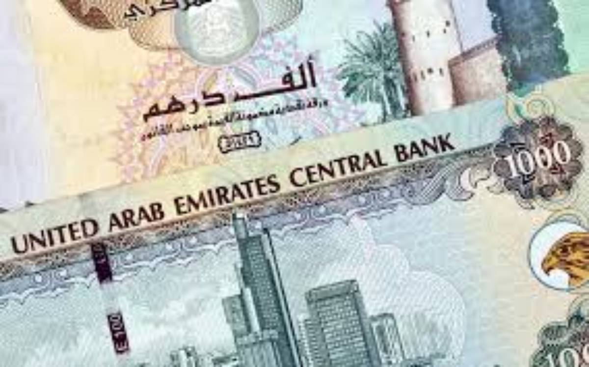 سعر الدرهم الإماراتي مقابل الجنيه المصري الاثنين 13 يناير 2025 وفق آخر تحديث لقيمتي البيع والشراء