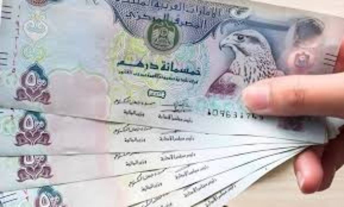 سعر الدرهم الإماراتي مقابل الجنيه المصري الاثنين 6 يناير 2025 وفق آخر تحديث صادر عن البنوك