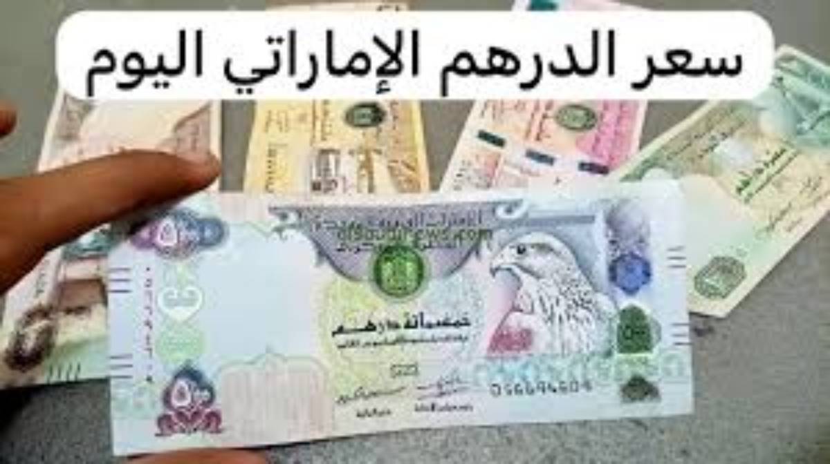 الآن.. سعر الدرهم الاماراتي مقابل الجنيه المصري الاربعاء 1 يناير 2025 في البنوك ببداية التعاملات