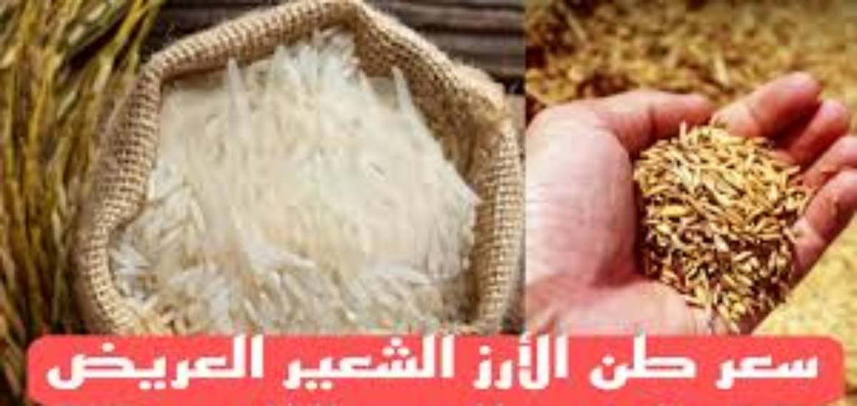 استقرار في سعر طن الأرز الشعير اليوم الاربعاء 1 يناير 2025 للمستهلك بالأسواق والمضارب