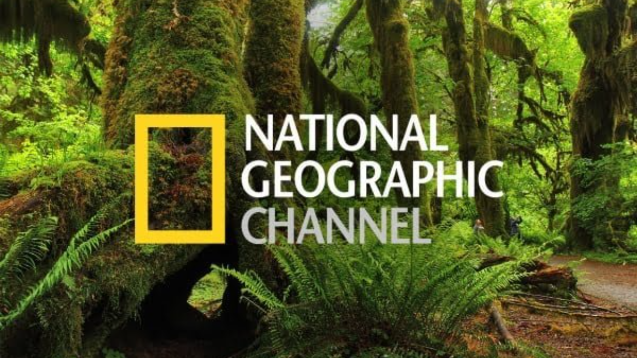 تردد ناشيونال جيوغرافيك National Geographic Abu Dhabi الجديد 2025 نايل سات وعرب سات