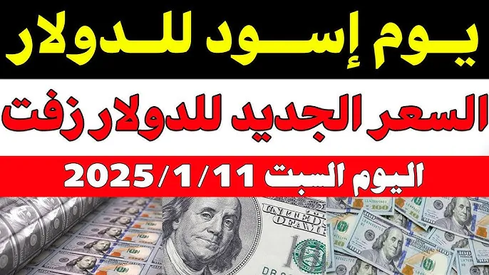 “مباشر” سعر الدولار اليوم مقابل الجنيه المصري السبت 11-1-2025 بجميع البنوك العاملة والسوق السوداء