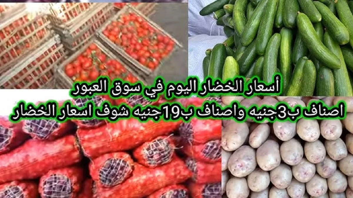 اسعار الخضار اليوم الأربعاء 15-1-2025 بالكيلو في سوق العبور .. إرتفاع جديد للفلفل بجميع أنواعه