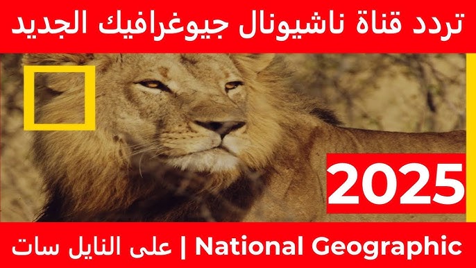 تردد قناة ناشيونال جيوغرافيك 2025 عبر النايل سات والعرب سات.. نافذتك نحو عالم ملئ بالمغامرة