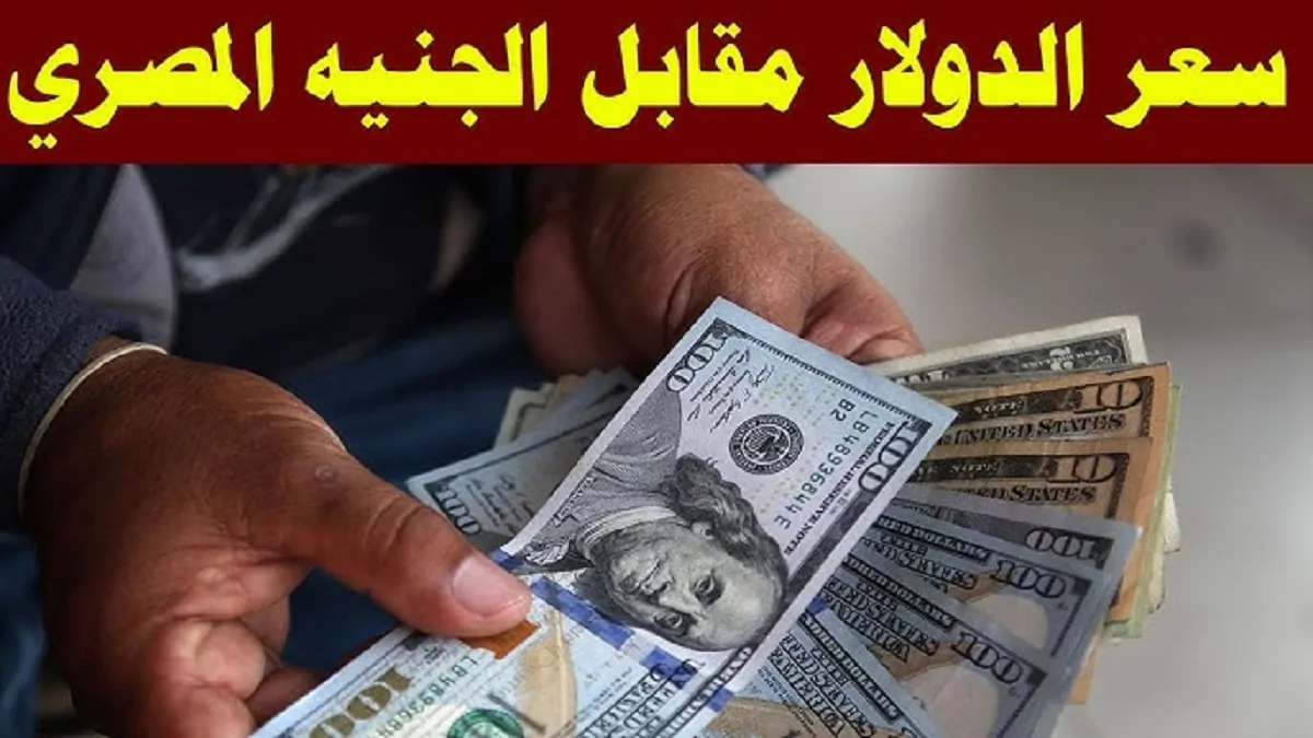 سعر الدولار اليوم مقابل الجنيه المصري في السوق الموازية وكافة البنوك .. استقرار مع ارتفاع!