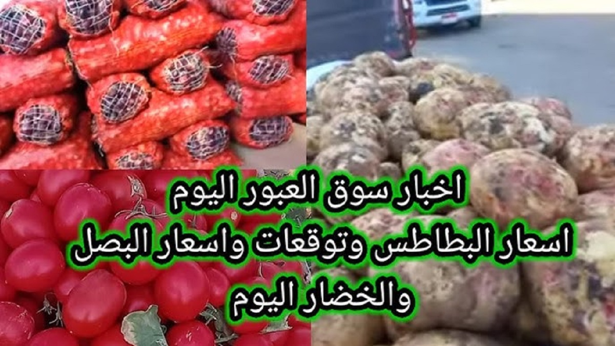 إرتفاع جديد لـ أسعار البطاطس اليوم في سوق العبور الإثنين 6-1-2025 .. الكيلو يصل إلى 12 جنيهاً