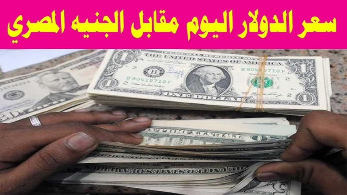 استقرار سعر الدولار اليوم مقابل الجنيه المصري الثلاثاء 7 يناير 2025 في ختام التعاملات