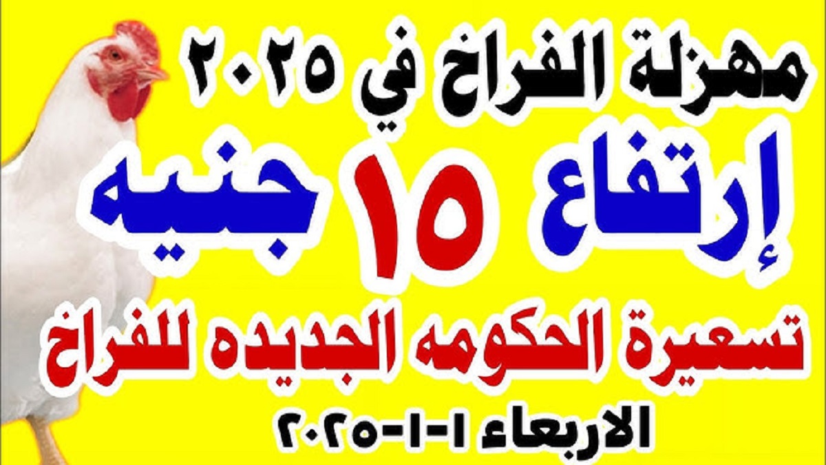 “بأخر تحديث” .. بورصة الدواجن اليوم توضح أسعار الفراخ البيضاء .. إرتفاع جديد للكيلو