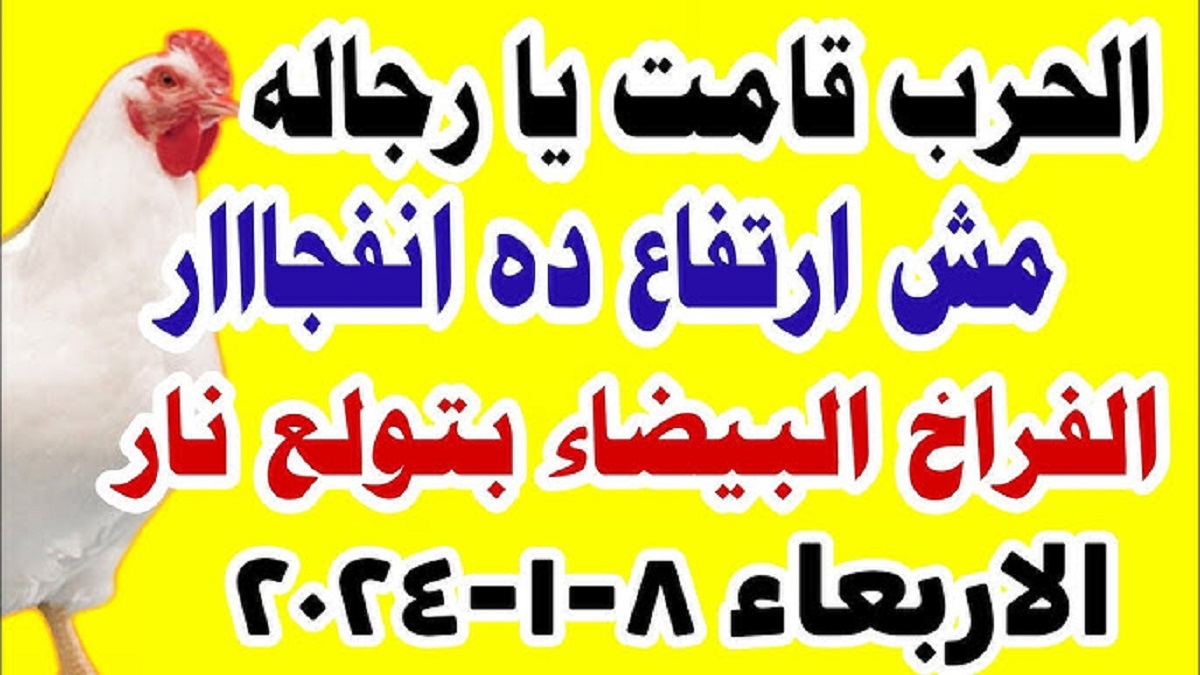 بورصة الدواجن اليوم أسعار الفراخ البيضاء | إرتفاع كبير يضرب اسعار الفراخ والكتاكيت .. الكيلو يُسجل 95 جنيه