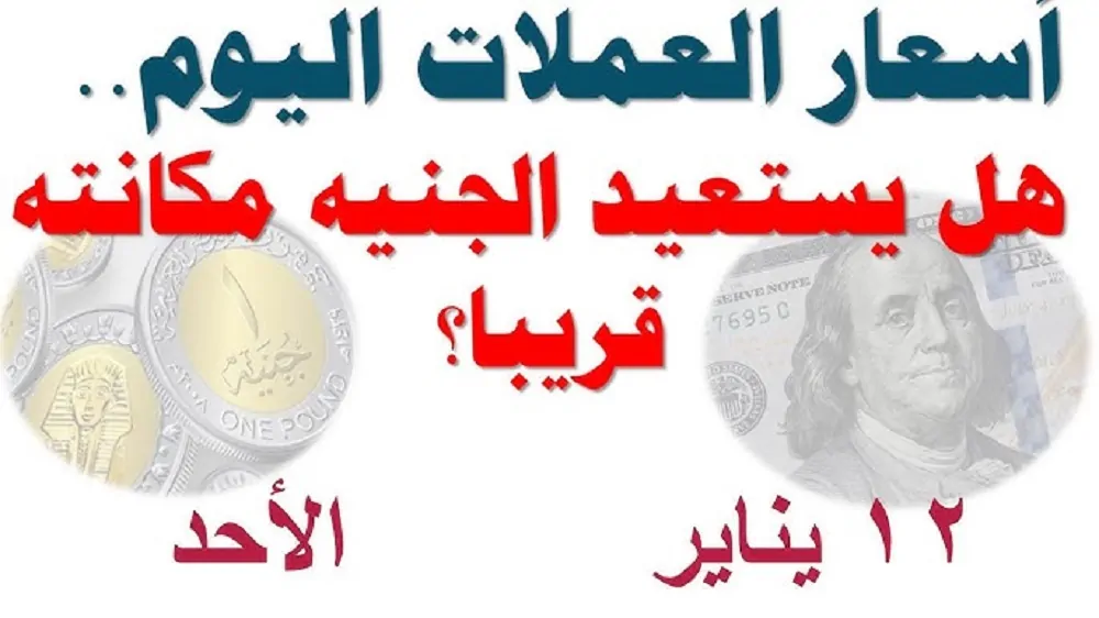 “دولا، ريال، يورو”.. اسعار العملات اليوم الاحد مقابل الجنية المصري في مختلف البنوك