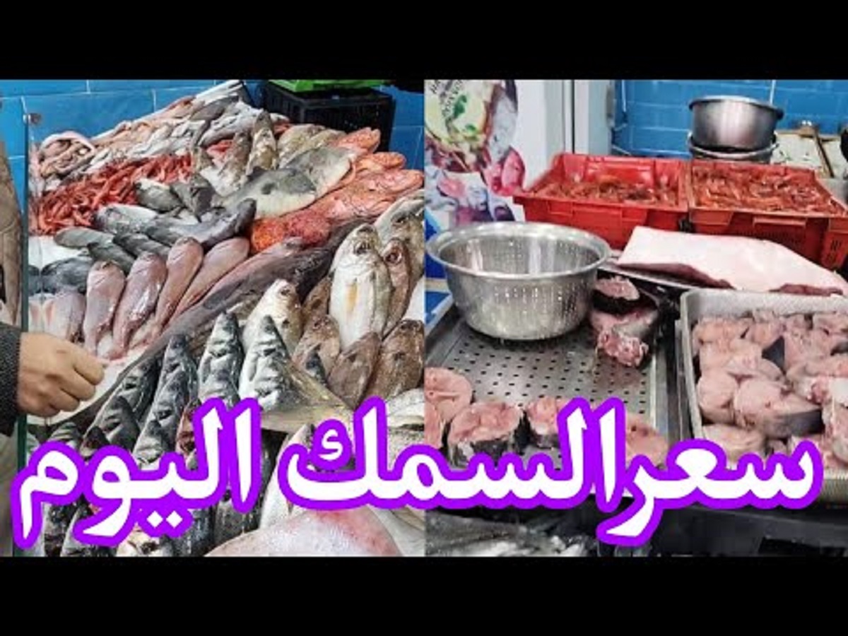 اسعار السمك اليوم الثلاثاء 7-1-2025 لتجار الجملة في سوق العبور .. تراجع للبلطي