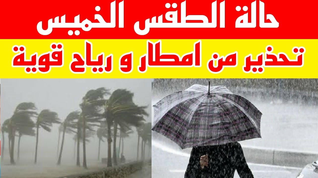 توقعات حالة الطقس غدا الخميس 9-1-2025 في مصر .. تحذير من الشبورة المائية الكثيفة