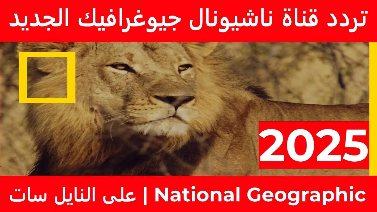 استقبل تردد قناة ناشيونال جيوغرافيك 2025 National Geographic وتابع أفضل البرامج الثقافية بجودة HD