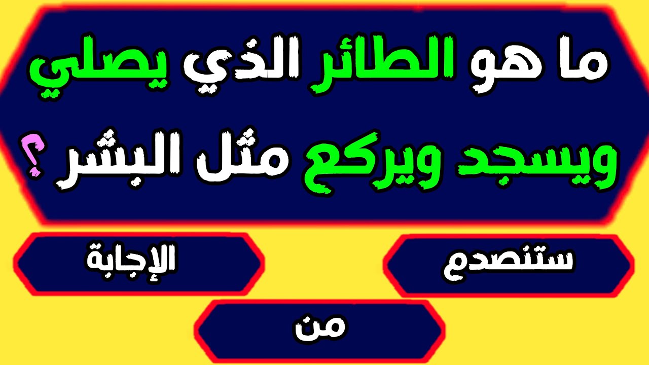 “سؤال وجواب”.. أسئلة دينية إسلامية للمسابقات جديدة للمسلم الذكي