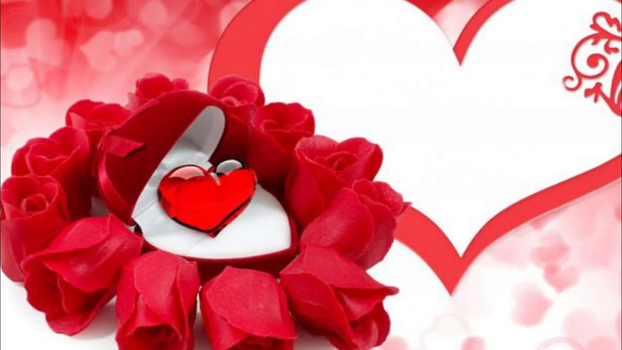 موعد عيد الحب 2025 Valentine’s Day وبعض عبارات التهنئة تشاركها مع حبيبك