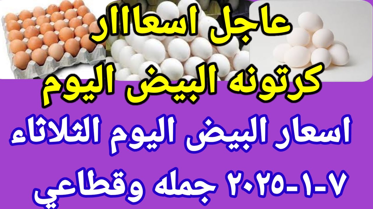 “بجميع الأنواع” .. سعر كرتونة البيض اليوم الثلاثاء الموافق 7-1-2025 في بورصة الدواجن والشركات