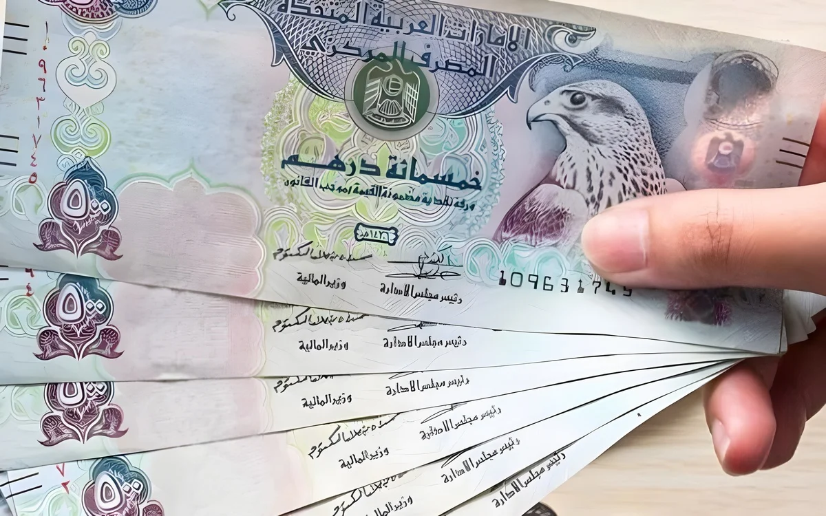 سعر الدرهم الاماراتي مقابل الجنيه المصري اليوم الإثنين 13-1-2025 بالبنوك