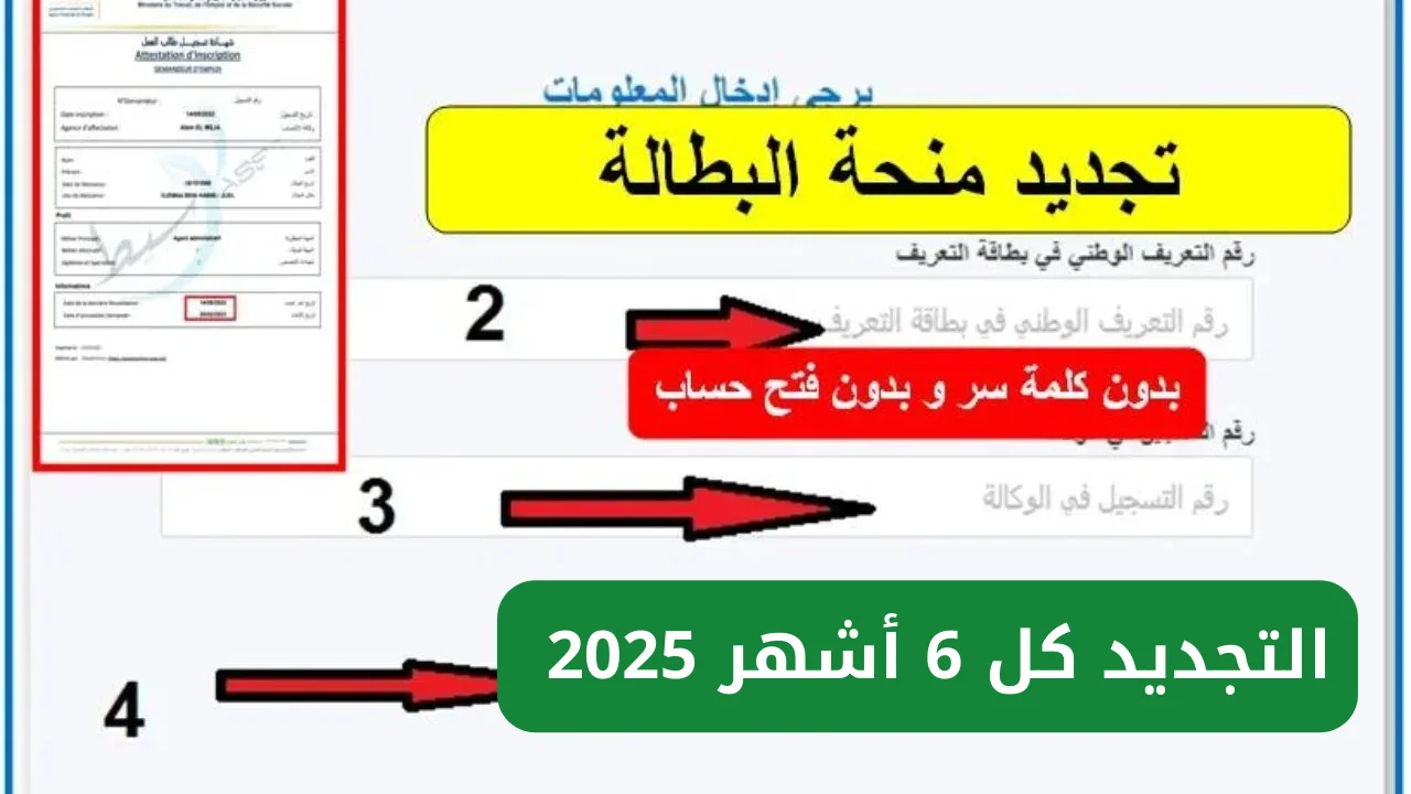 “جددها الآن”.. خطوات تجديد منحة البطالة من الهاتف 2025 anem.dz من خلال الوكالة الوطنية للتشغيل