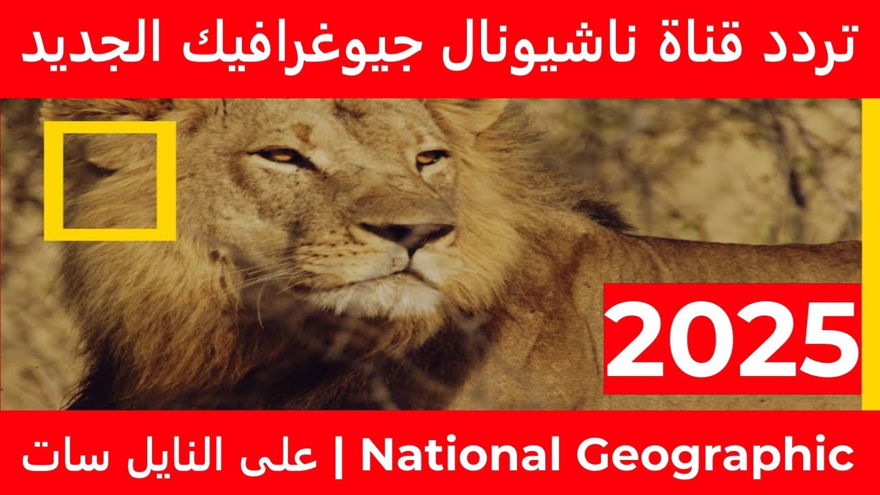 استقبل تردد قناة ناشيونال جيوغرافيك 2025 Nat Geo Abu Dhabi واستمتع بمغامرات الحياة البرية مع اسود افريقيا