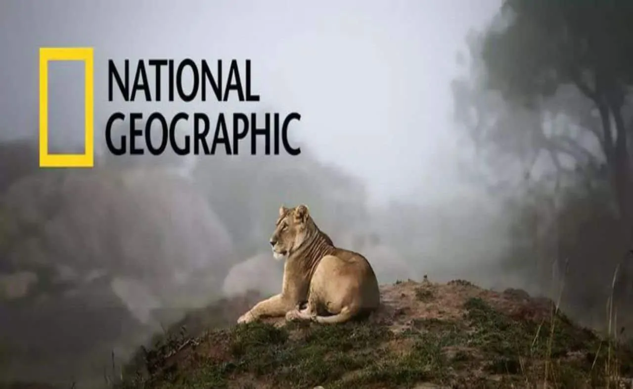 تردد قناة ناشيونال جيوغرافيك 2025 National Geographic TV على جميع الأقمار الصناعية