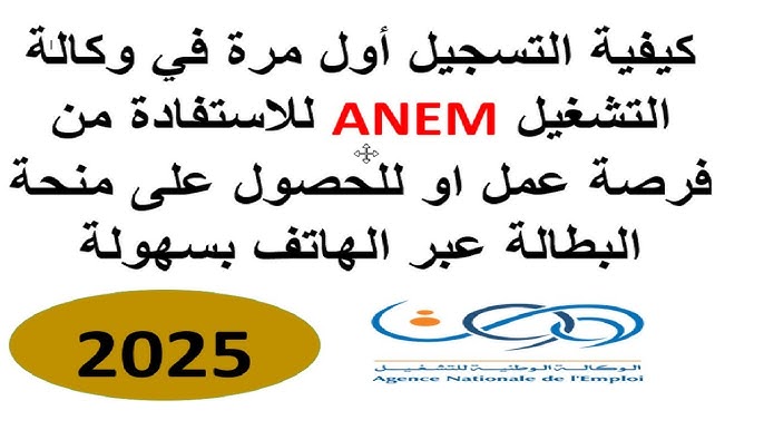 رابط منحة البطالة في الجزائر من خلال الصفحة الرسمية للوكالة الوطنية للتشغيل anem.dz