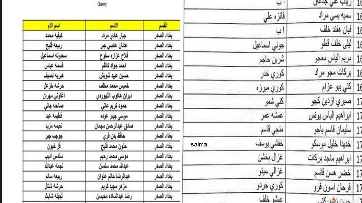 أسماء المشمولين بالرعاية الاجتماعية الوجبة الأخيرة 2025