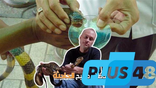 تلقى 200 لدغة و700 حقنة سم ثعابين.. قصة أمريكي ساهم في تطوير مضاد لسموم أخطر أنواع الأفاعي