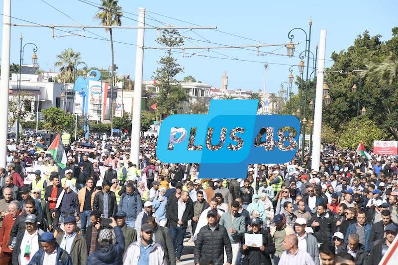 دراسة: إنشاء “التنسيقيات” يستهدف الإفلات من البيروقراطية في النقابات