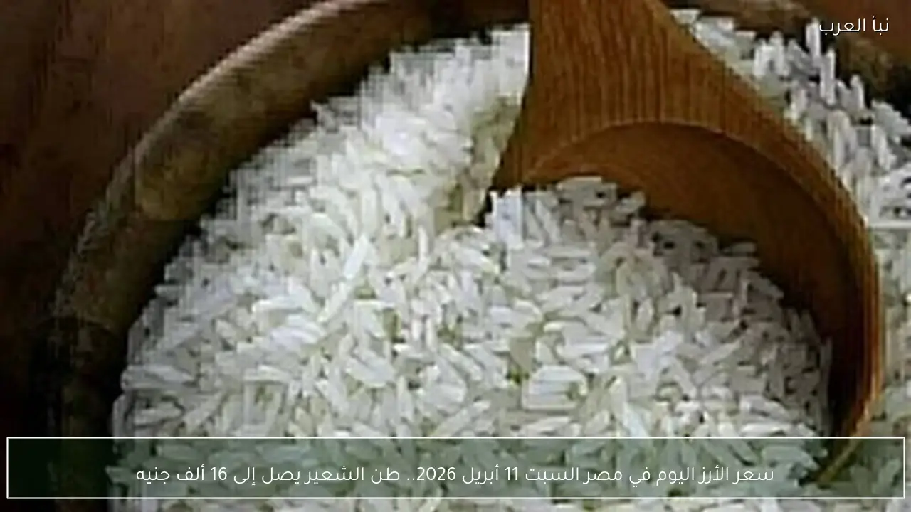 أسعار الأرز اليوم في مصر السبت 11 أبريل 2026 بأسعار الشعير التي تصل إلى 16 ألف جنيه للطن وتفاصيل السوق الغذائية وأحدث التغيرات في أسعار الأرز والقمح